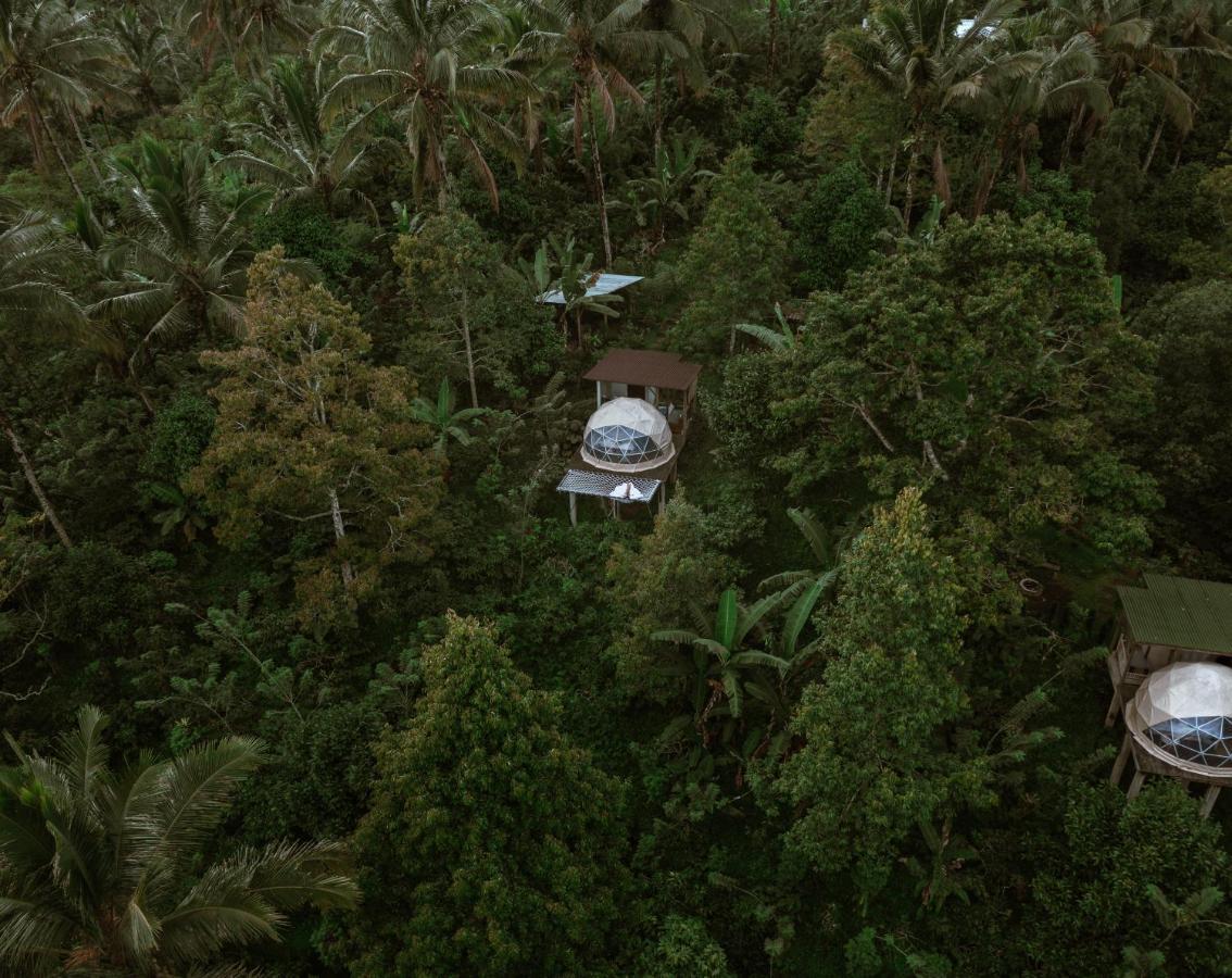 Bali Jungle Camping By Amerta Experience Selemadeg Exterior foto