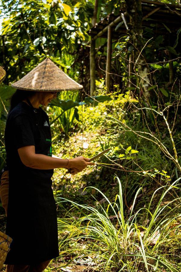 Bali Jungle Camping By Amerta Experience Selemadeg Exterior foto