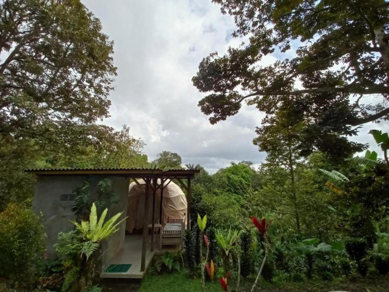 Bali Jungle Camping By Amerta Experience Selemadeg Exterior foto