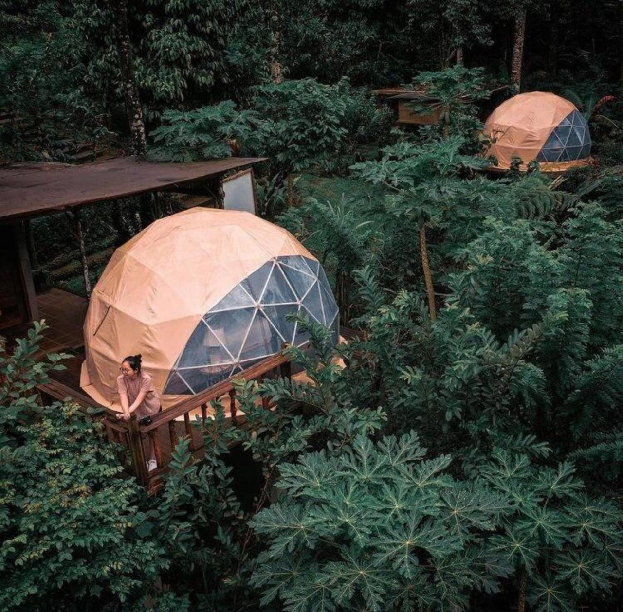 Bali Jungle Camping By Amerta Experience Selemadeg Exterior foto